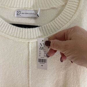 New York & Company Cream Fine Knit Crew Neck Sweater